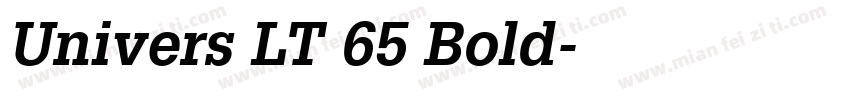Univers LT 65 Bold字体转换
